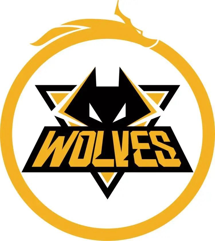 aNdu 去了 GamerLegion 的替补席;